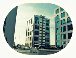 Torre11 Torre11